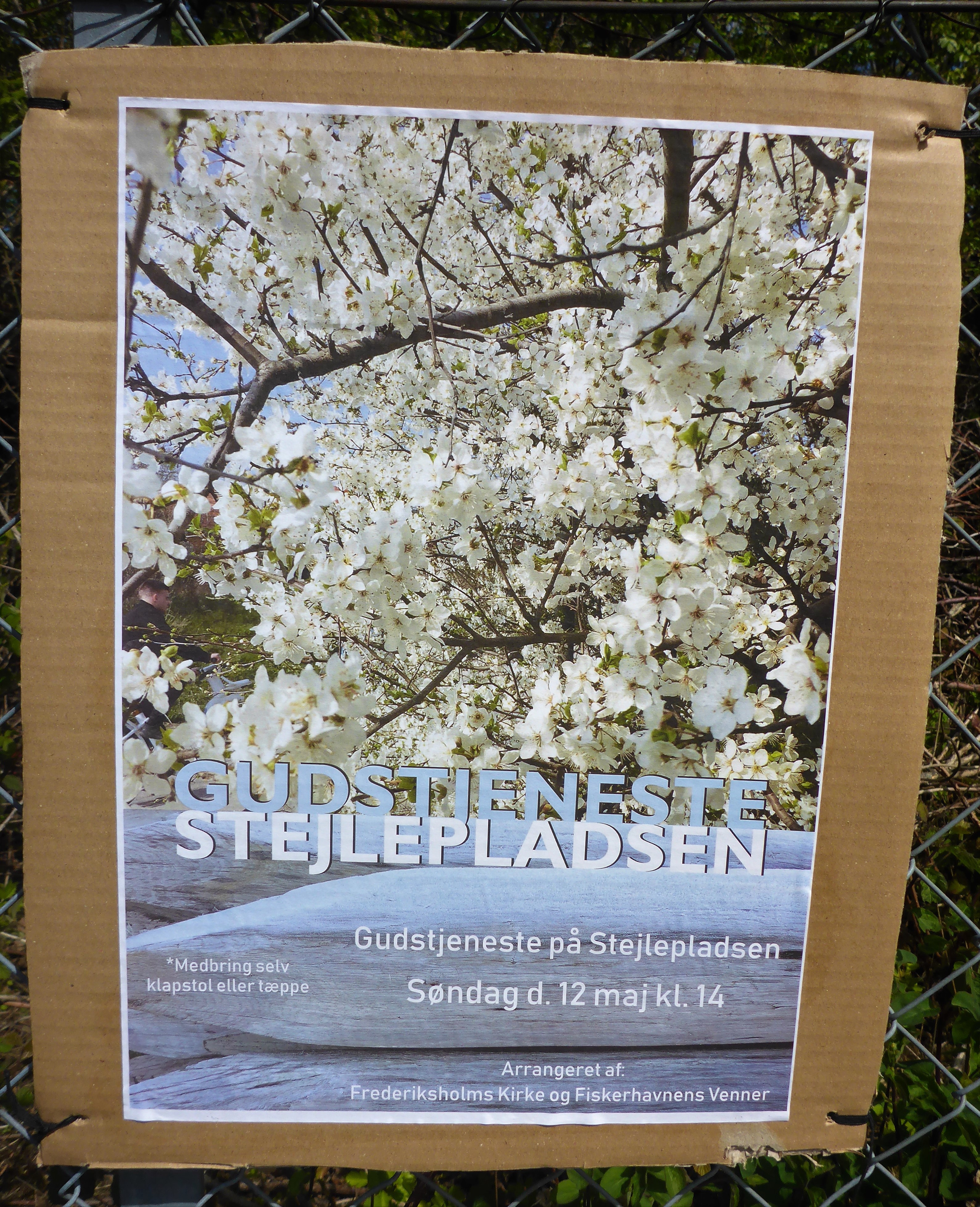 Get Kystnaere levende taepper Free