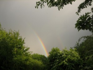 Himlen over Sommerfugleengen