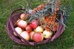 Høstpicnic_JDWweb