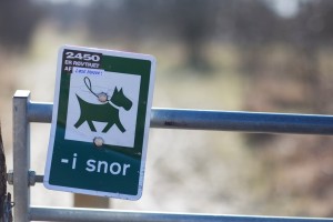 Skilt. Hunde i snor