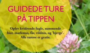 Tippen plakat_overskrift web