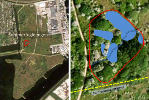 Sommerfugleengen (høslæt-arealerne er med blå). Sommerfugleengen (høslæt-arealerne er med blå).