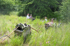 1_Sommerfugleengen-1-001