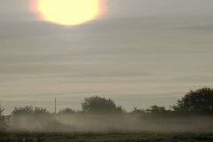 Morgenstemning. Fotograf: Karsten Kring Lauritsen.