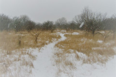 Tippen, jan. 2014.