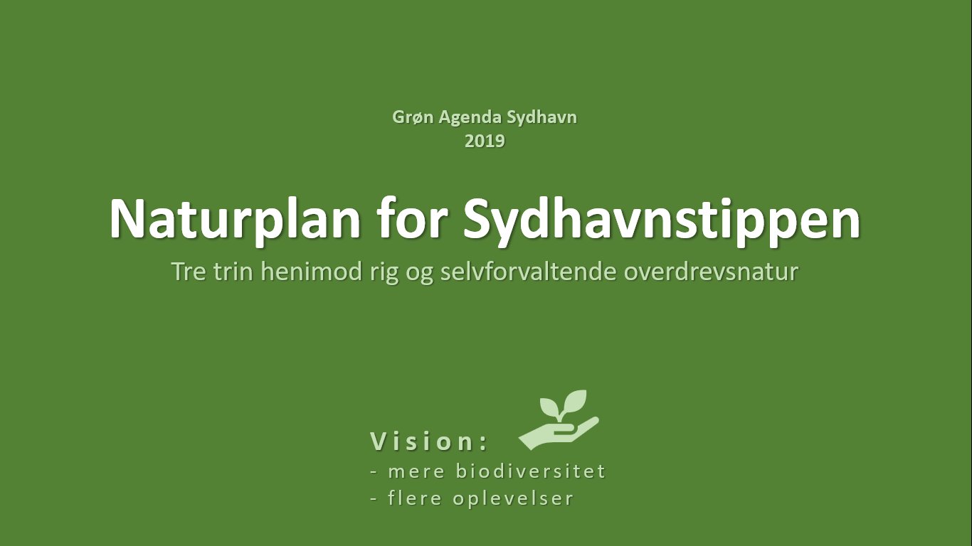 Naturplan for Sydhavnstippen 2019, side 1
