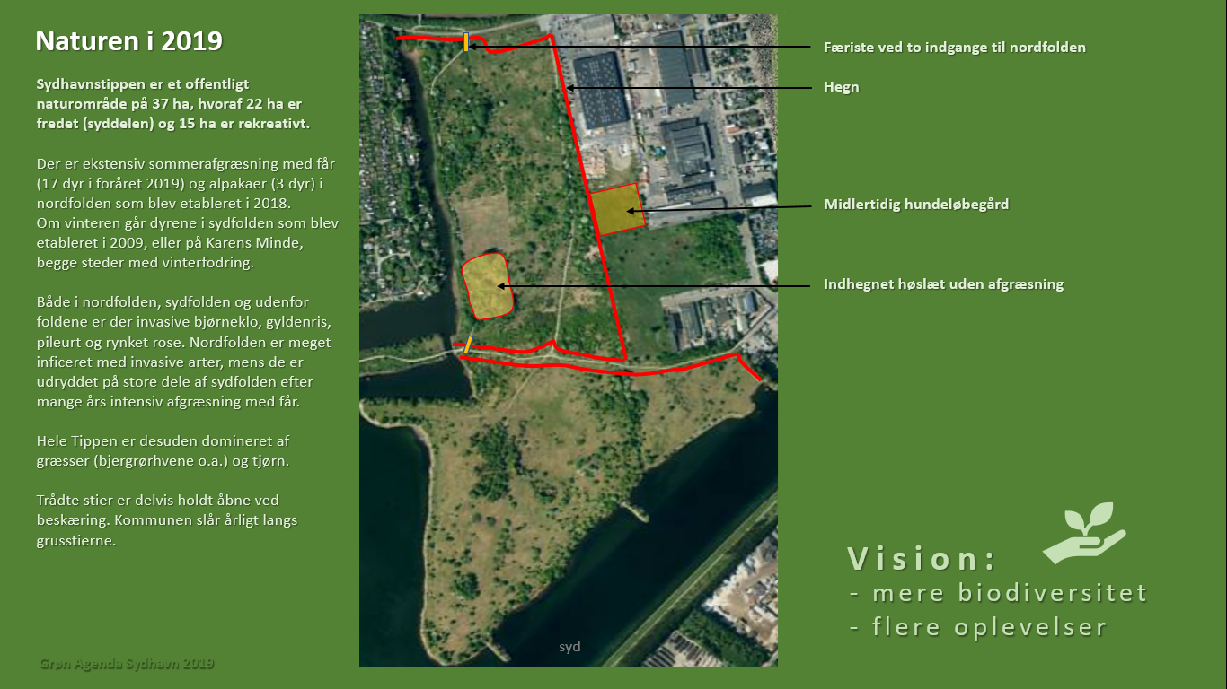 Naturplan for Sydhavnstippen 2019, side 3