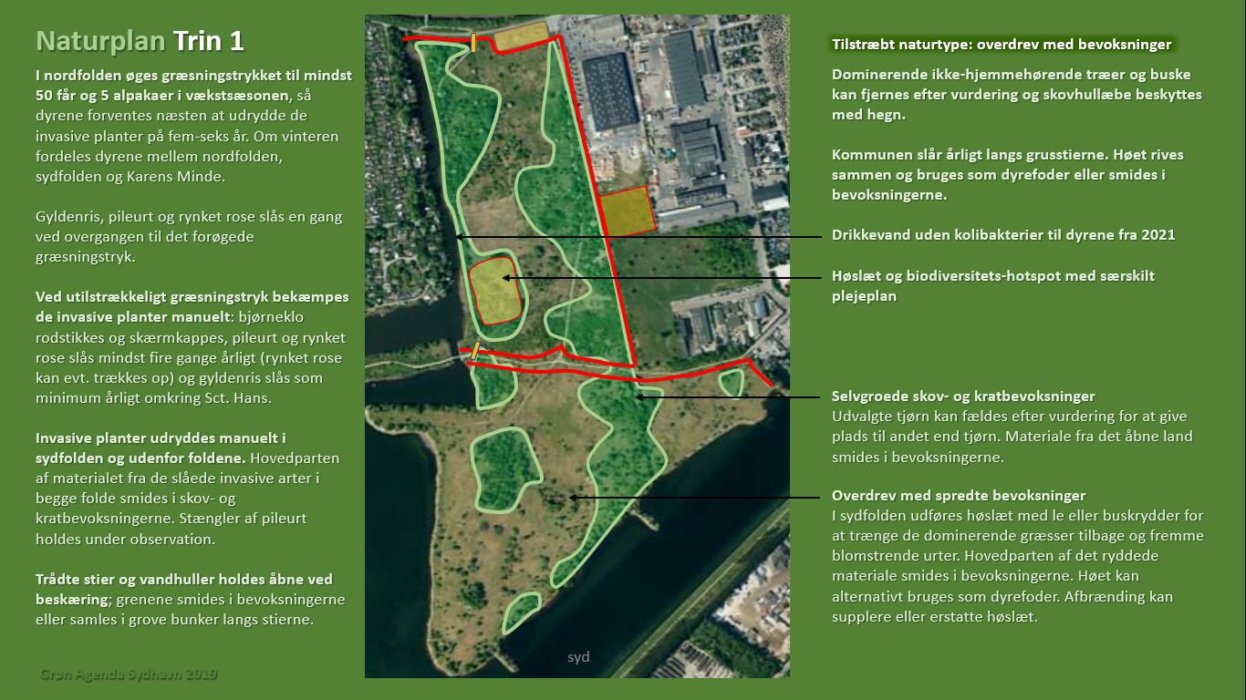 Naturplan for Sydhavnstippen 2019, side 5