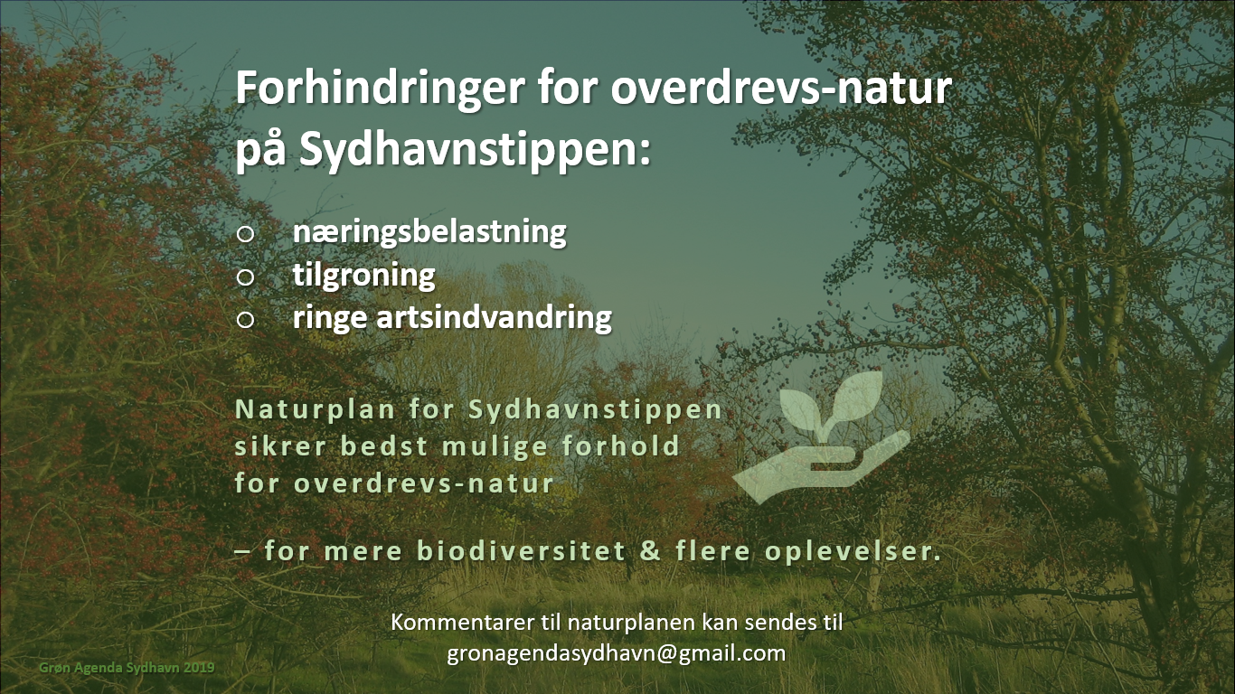 Naturplan for Sydhavnstippen 2019, side 8
