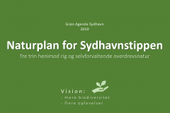 Naturplan for Sydhavnstippen 2019, side 1