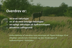 Naturplan for Sydhavnstippen 2019, side 4