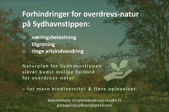 Naturplan for Sydhavnstippen 2019, side 8