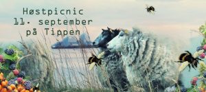 hoest_picnic