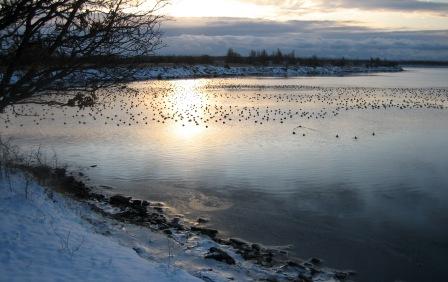 img_3691 img_3691