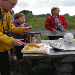 jordbær og honning og mælkebøttesaft