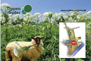 til sydhavnstippen dk uden dato og mange logoer og komprimeret