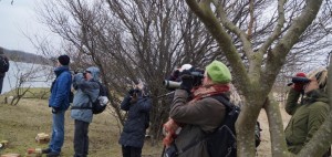 tippen fugletur feb komprimeret